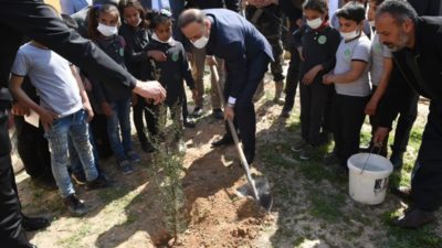 Barış Pınarı bölgesinde yüzler gülüyor