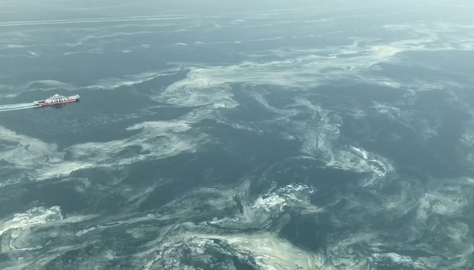 Uzmanlar uyardı! Deniz salyası olan bölgelerde denize girmeyin!