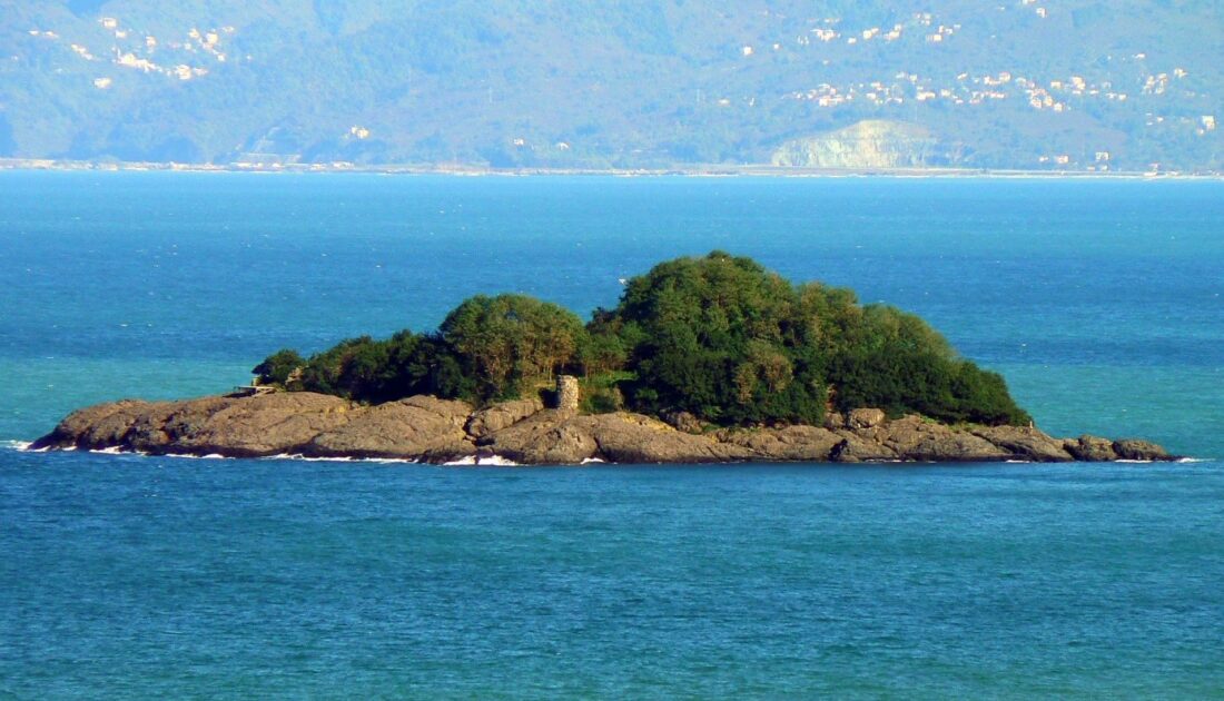 Giresun Adası’nda arkeolojik kazı çalışmaları yapılacak