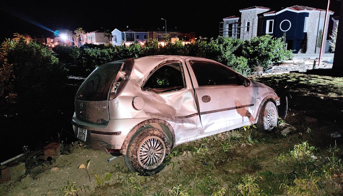 Tarlaya uçan otomobil sürücüsü yaralı halde kaçtı