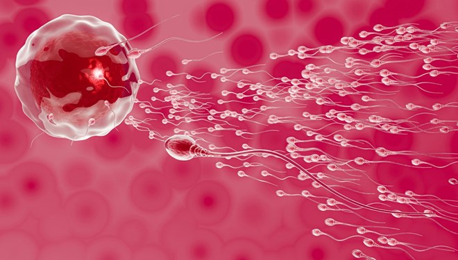 BioNTech-Pfizer aşısı spermlere zarar veriyor mu