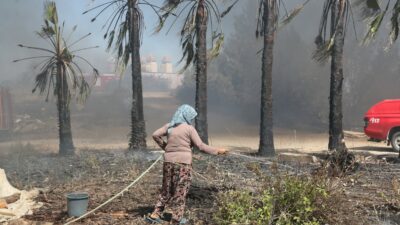 Antalya’da yangın! Zeytin ağaçları küle döndü…