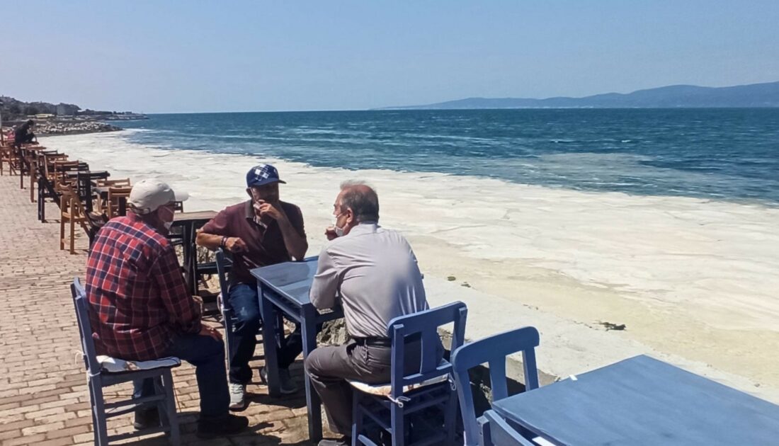 Bursa’da yürek burkan görüntü! Deniz değil, ‘müsilaj’ manzarası…