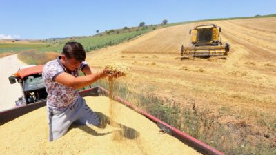 Bursa’da çiftçi umudunu buğdaya bağladı