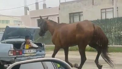 Bursa’da tepki çeken görüntü! Aracına at bağlayıp koşturdu