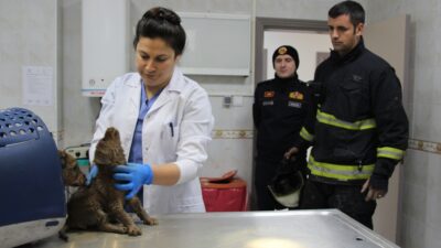 Nilüfer’den İtfaiye Dairesi Başkanlığı’na teşekkür ziyareti