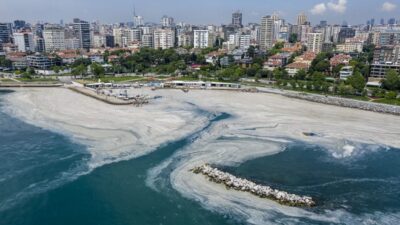 Uzmanlar uyardı: ‘Küçük balıkları rahat bırakın’