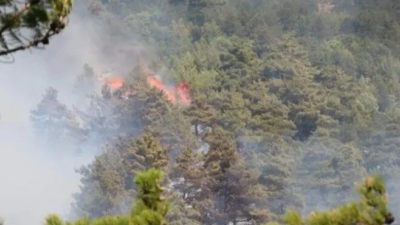 Hatay’da orman yangını