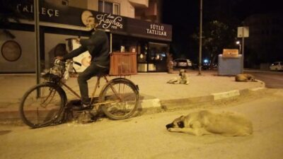 Bursa’da hem hurda topluyor, hem sokak hayvanlarına babalık yapıyor