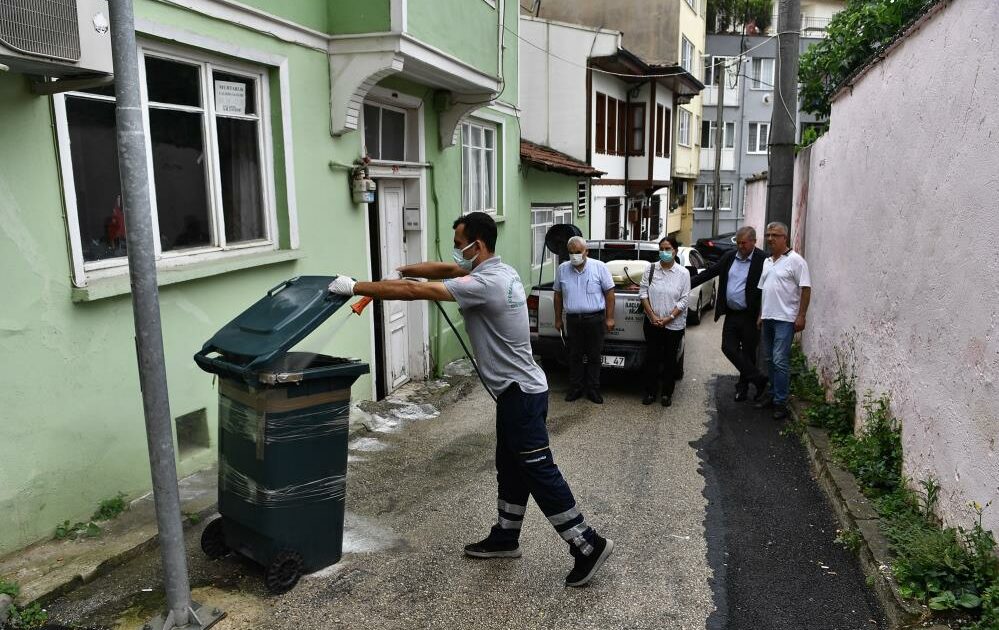 Çekirge haşerelere karşı ilaçlandı