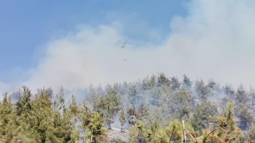 Kahramanmaraş’ta orman yangını