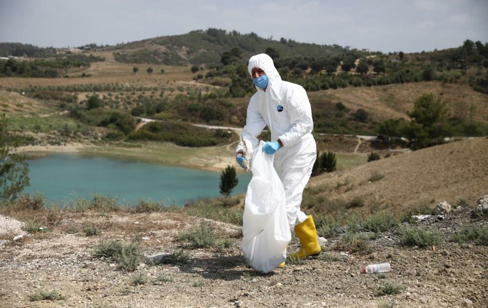 300 civcivi göl kenarında ölüme terk ettiler