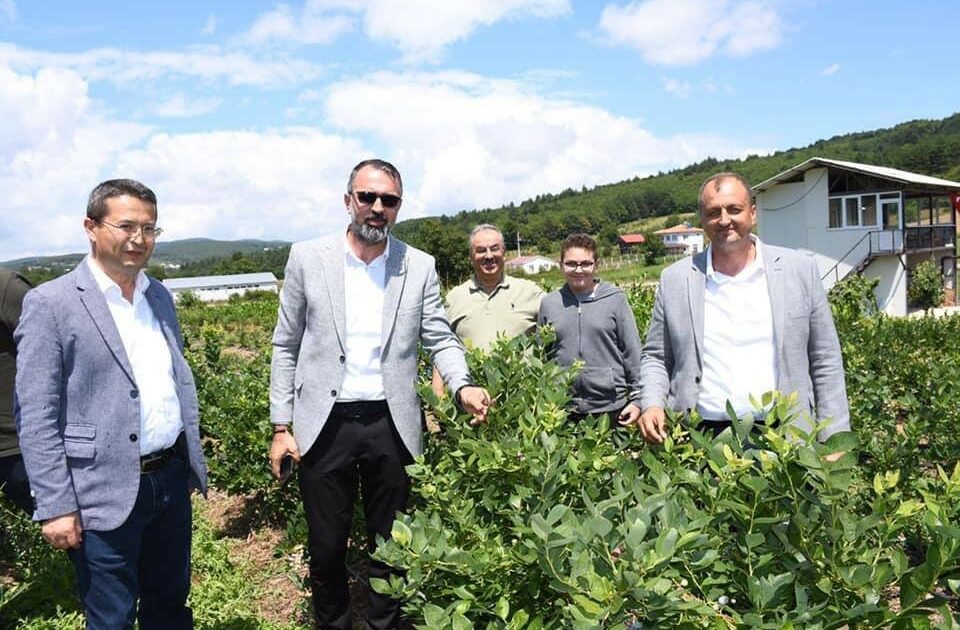 İznik’te yaban mersini festivali