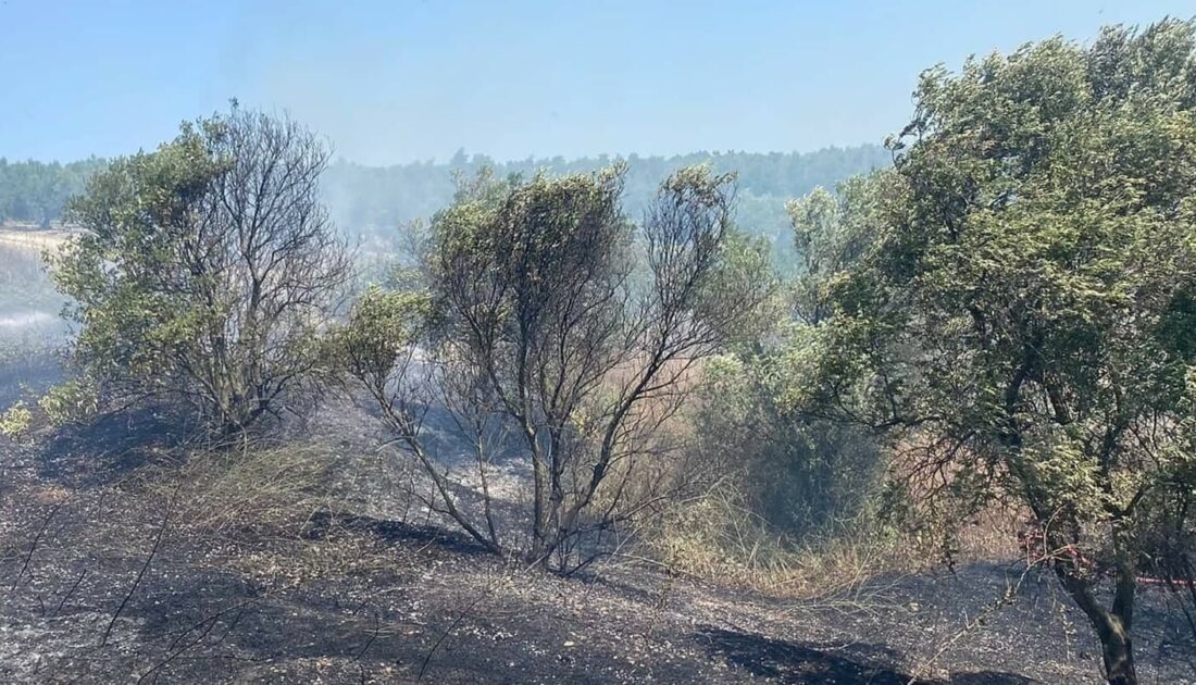 Bir orman yangını da Bursa’da