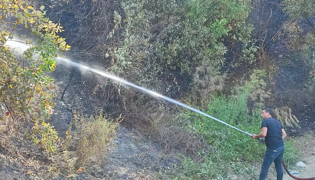 Hatay’daki orman yangını kontrol altına alındı