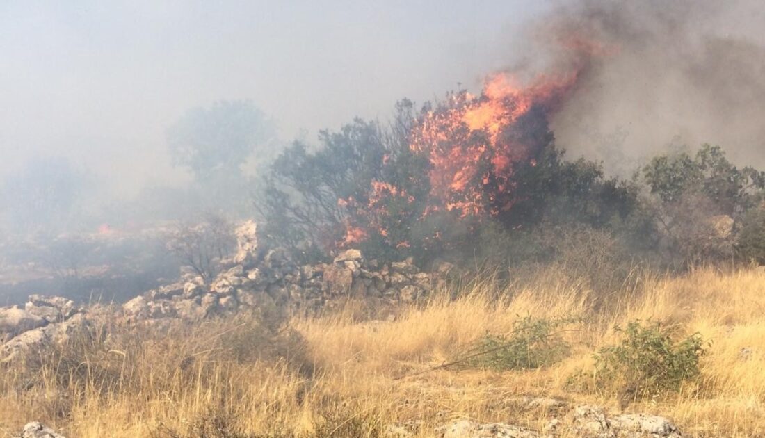 Gaziantep’te orman yangını