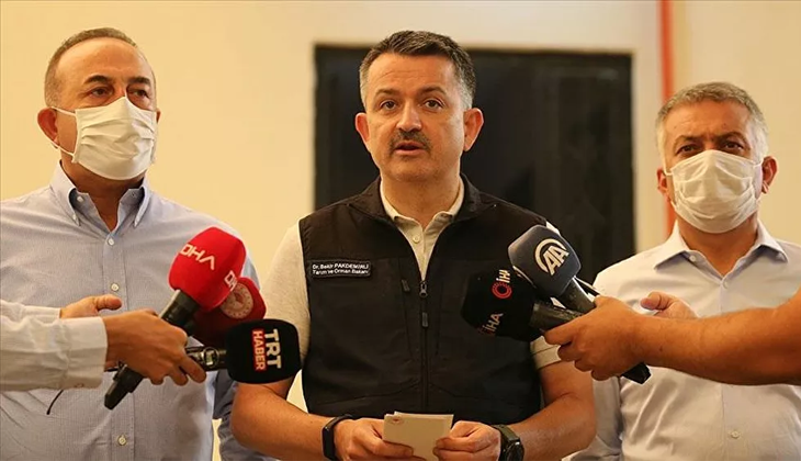 Pakdemirli: Yanan ağaçların yerine misliyle fidan dikilecek