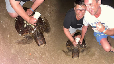 Rus turistlerin caretta carettaya eziyeti cezasız kalmadı