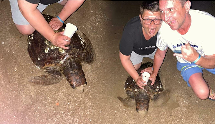 Rus turistlerin caretta carettaya eziyeti cezasız kalmadı