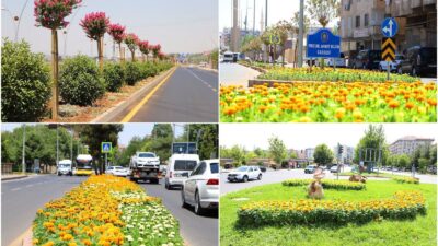 Diyarbakır’da cadde ve sokaklar rengarenk …