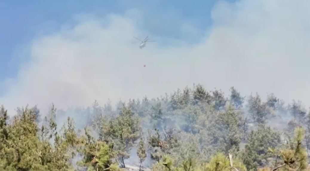 Kahramanmaraş’taki orman yangını kontrol altına alındı