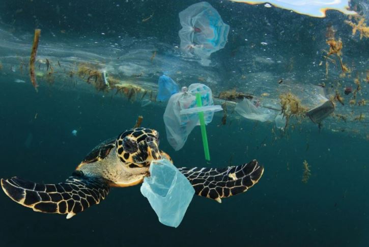 AB’de plastiksiz dönem başlıyor