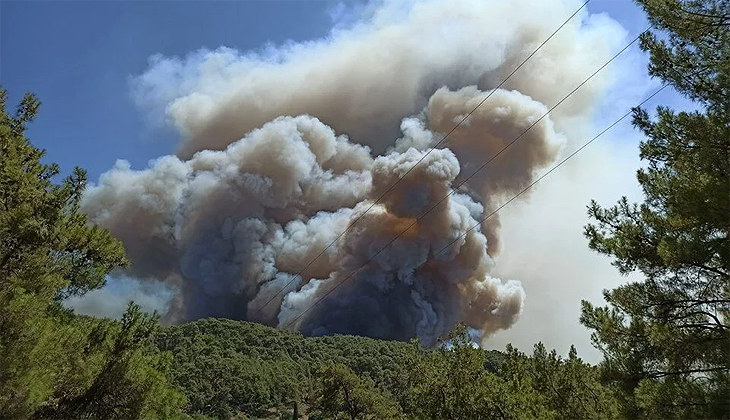 İstanbul Üniversitesi orman yangınlarında ‘Kasıt’ ve ‘sabotaj’ ihtimaline dikkat çekti