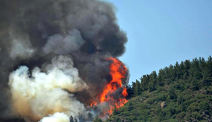 Marmaris’teki orman yangınından acı haber