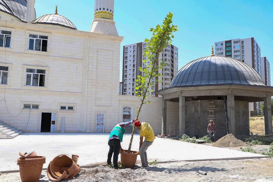 Diyarbakır’da 15 Temmuz şehitleri için 251 fidan