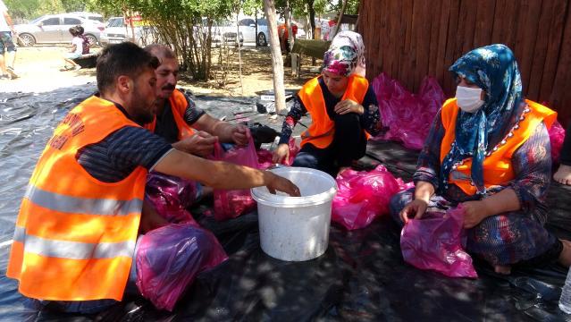 Diyarbakır’da örnek dayanışma: 400 aileye 1 ton et dağıtıldı