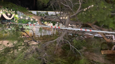 Antalya’da düğün sırasında ağaç devrildi: 1 ölü, 7 yaralı