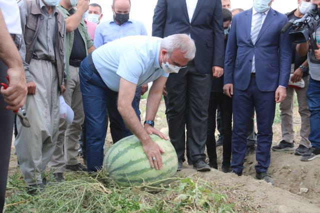 Diyarbakır’da karpuz hasadı başladı