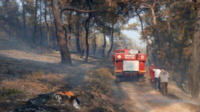 Ülke genelindeki 6 orman yangını kontrol altına alındı