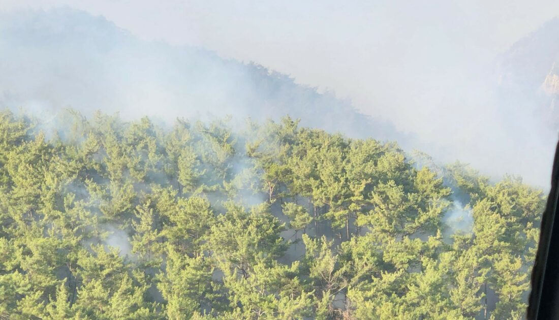 Dalaman’daki yangın kontrol altında