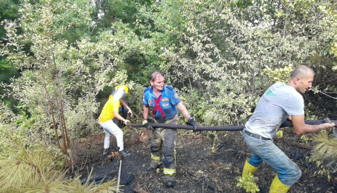 Bursa’da orman yangını paniği