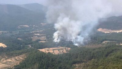 Muğla’da bir yangın daha çıktı