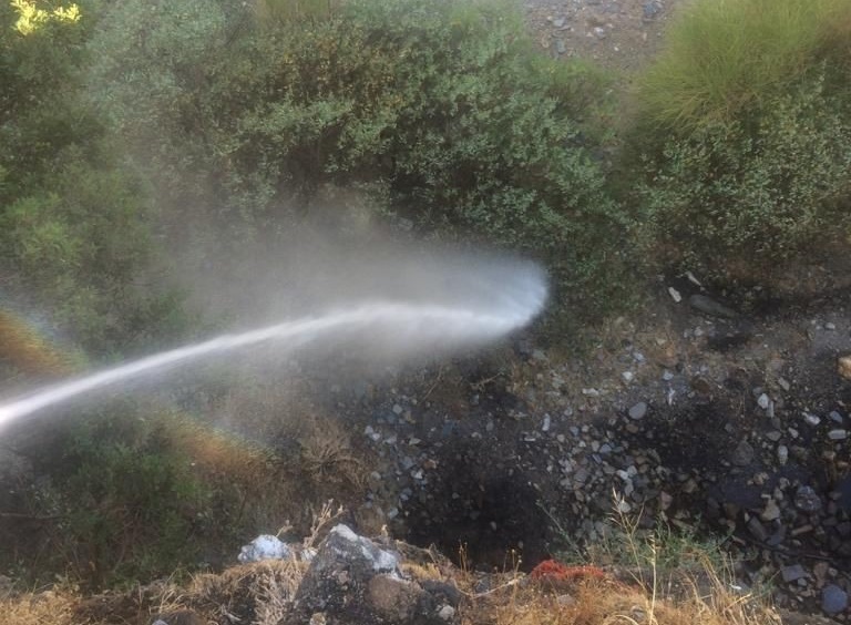 Aydın Doğanbey’deki yangın hızlı müdahale ile söndürüldü