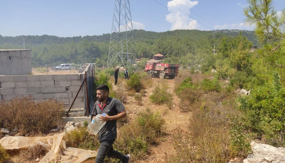 Alanya’daki orman yangını hızlı müdahale ile söndürüldü