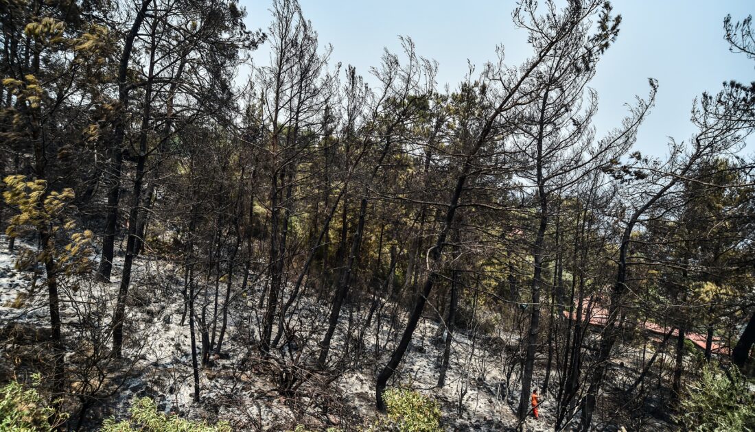 Marmaris’te orman yangını siteye kadar indi