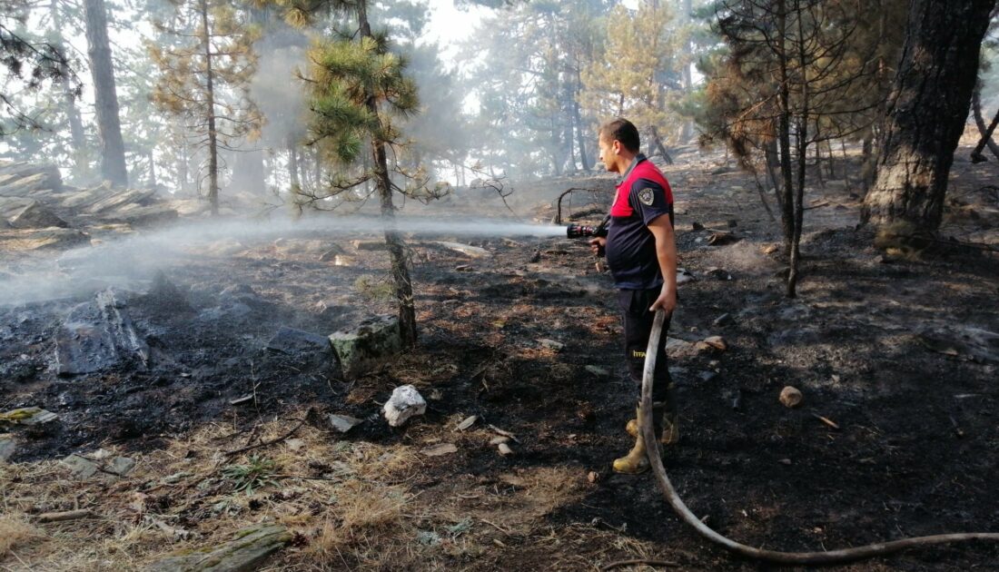 Aydın Karacasu’da yangın devam ediyor