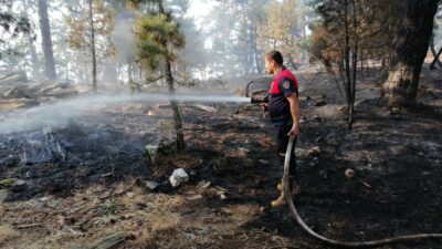 Aydın Karacasu’da yangın devam ediyor