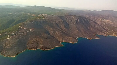 Muğla’dan yürek yakan manzara!