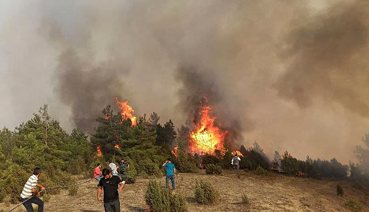 Karabük yangını rüzgarın etkisiyle ilerliyor