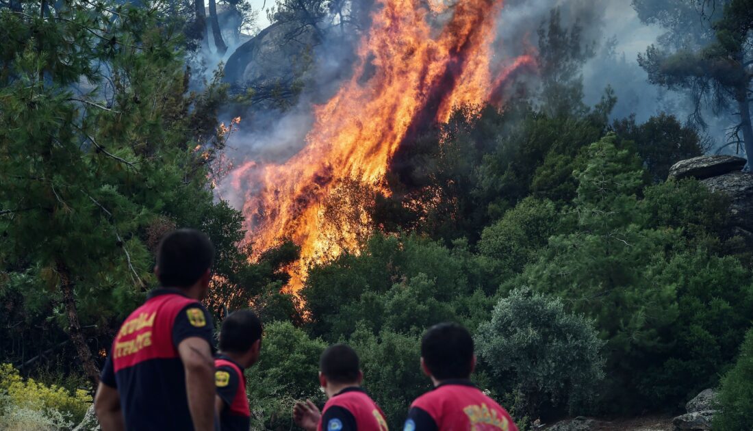 Orman yangınlarında son durum (7 Ağustos 2021)