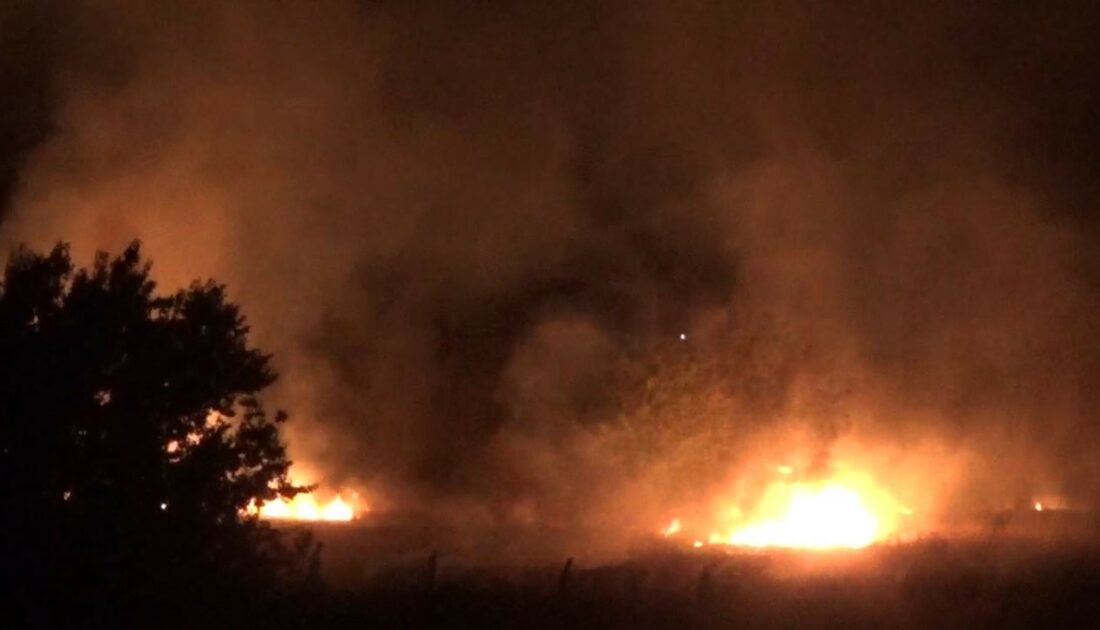 Şanlıurfa’da korkutan yangın