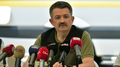 Pakdemirli: Antalya ve Çanakkale’deki yangınlar kontrol altında