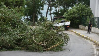 Sinop’ta fırtına can aldı