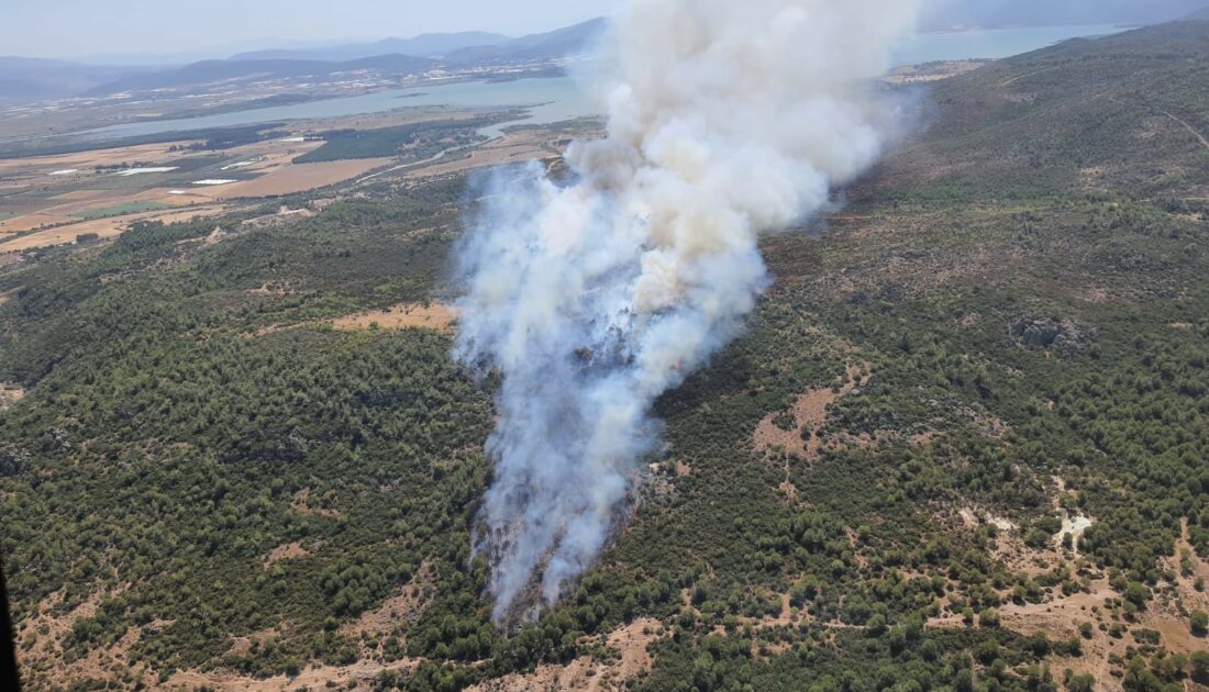 İzmir’de bir günde üçüncü yangın