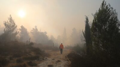 Kudüs’te orman yangını: 25 bin dönüm kül oldu