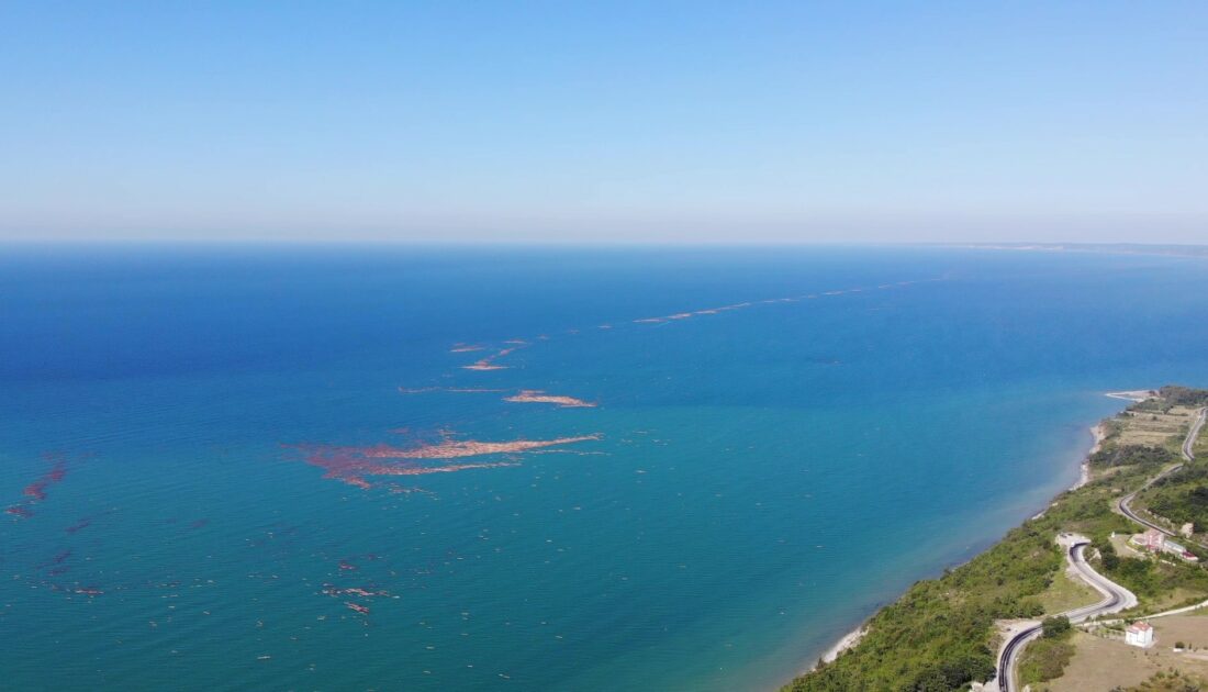 Karadeniz’de selin ardından tomruk adacıkları oluştu